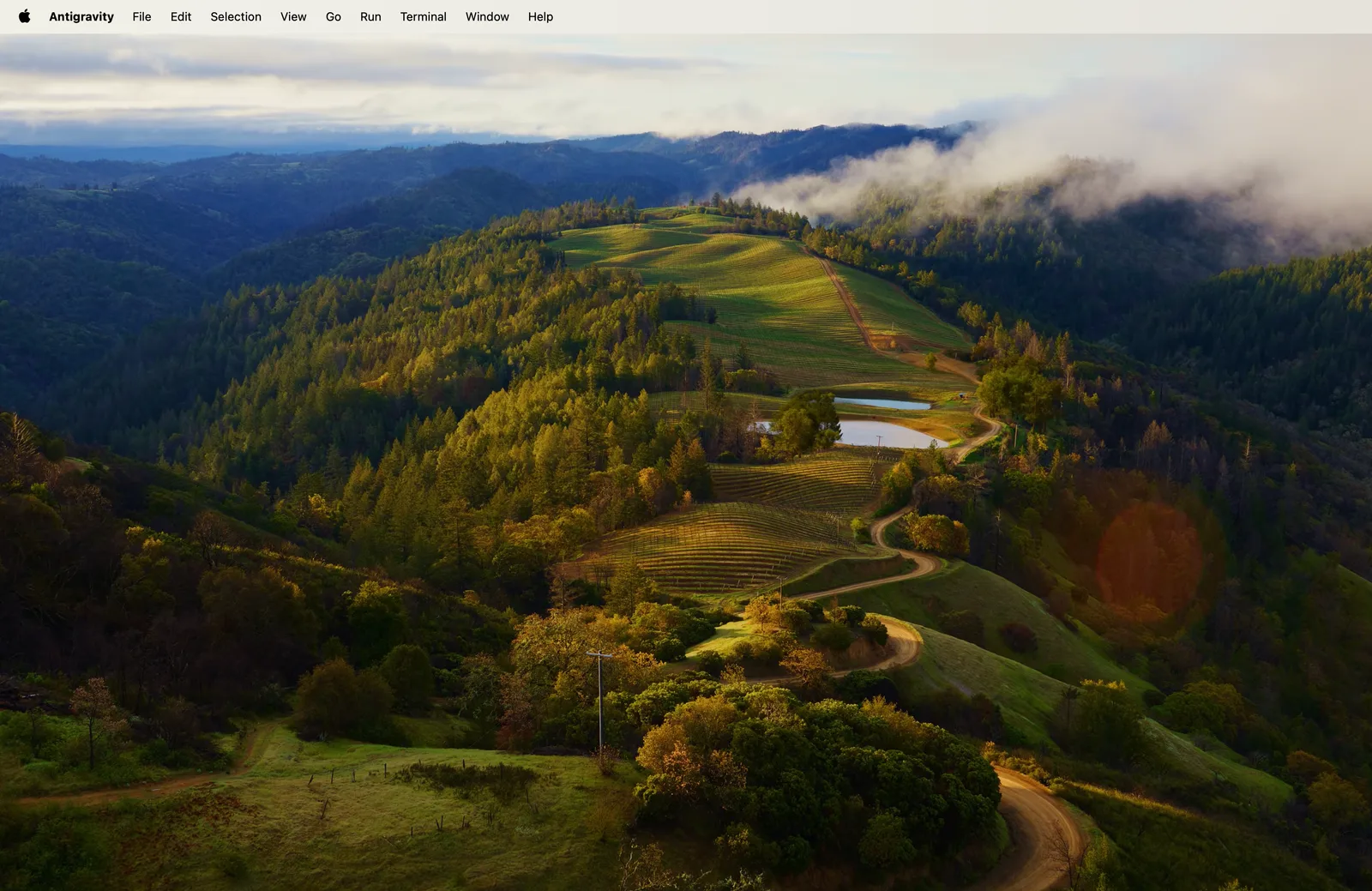 A typical owner-occupied Australian home with rooftop solar