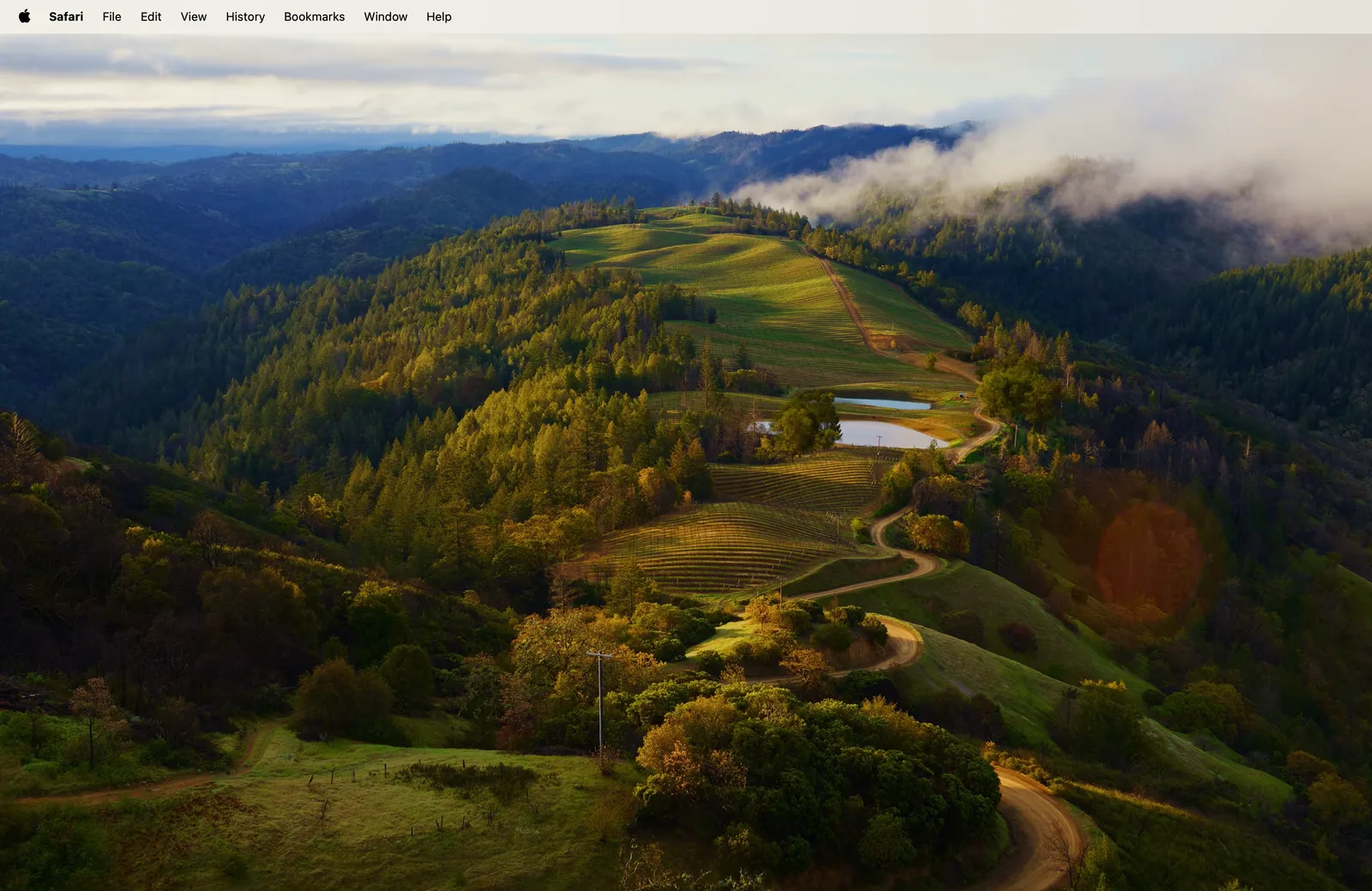 Screenshot of the Clean Energy Council accredited installer search page